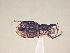  ( - MLPCU0196)  @11 [ ] Unspecified (default): All Rights Reserved  Unspecified Unspecified