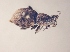  ( - MLPCU0198)  @11 [ ] Unspecified (default): All Rights Reserved  Unspecified Unspecified