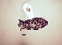  ( - MLPCU0326)  @11 [ ] Unspecified (default): All Rights Reserved  Unspecified Unspecified