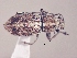  ( - MLPCU0370)  @11 [ ] Unspecified (default): All Rights Reserved  Unspecified Unspecified