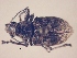  ( - MLPCU0361)  @11 [ ] Unspecified (default): All Rights Reserved  Unspecified Unspecified