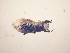 ( - MLPCU0216)  @11 [ ] Unspecified (default): All Rights Reserved  Unspecified Unspecified
