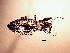  ( - MLPCU0008)  @11 [ ] Unspecified (default): All Rights Reserved  Unspecified Unspecified