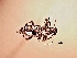  (Naupactus versatilis - MLPCU0117)  @12 [ ] Unspecified (default): All Rights Reserved  Unspecified Unspecified