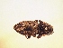  ( - MLPCU0373)  @11 [ ] Unspecified (default): All Rights Reserved  Unspecified Unspecified