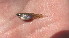  ( - CREG ECOMOL YC13-466)  @12 [ ] Unspecified (default): All Rights Reserved  Unspecified Unspecified
