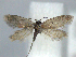  ( - YI_erio_Issikiocr_02)  @13 [ ] CreativeCommons - Attribution Non-Commercial Share-Alike (2011) Yume Imada Kyoto University