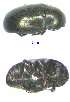  ( - WOL151787)  @12 [ ] Unspecified (default): All Rights Reserved  Unspecified Unspecified