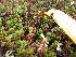  ( - MLTV07)  @11 [ ] Copyright (2011) Malie Lessard-Therrien Unspecified