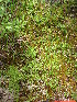  ( - MLTV70)  @11 [ ] Copyright (2011) Malie Lessard-Therrien Unspecified