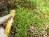  ( - MLTV70)  @11 [ ] Copyright (2011) Malie Lessard-Therrien Unspecified