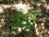  ( - MLTV80)  @11 [ ] Copyright (2011) Malie Lessard-Therrien Unspecified