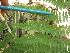  ( - MLTV80)  @11 [ ] Copyright (2011) Malie Lessard-Therrien Unspecified
