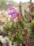  ( - MLTI11)  @11 [ ] Unspecified (default): All Rights Reserved  Unspecified Unspecified