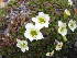  ( - MLTI04)  @11 [ ] Unspecified (default): All Rights Reserved  Unspecified Unspecified
