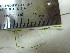  ( - TJD-695)  @11 [ ] CreativeCommons - Attribution Non-Commercial (2013) MTMG McGill University Herbarium