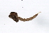  ( - 09PROBE-02850)  @13 [ ] CreativeCommons - Attribution (2009) Unspecified Centre for Biodiversity Genomics