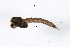  ( - 09PROBE-02851)  @12 [ ] CreativeCommons - Attribution (2009) Unspecified Centre for Biodiversity Genomics