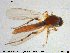  ( - MM-Cer109)  @11 [ ] Creative Commons  Attribution Non-Commercial Share-Alike (2020) NTNU University Museum, Department of Natural History NTNU University Museum, Department of Natural History