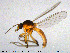  ( - MM-Cer111)  @11 [ ] Creative Commons  Attribution Non-Commercial Share-Alike (2020) NTNU University Museum, Department of Natural History NTNU University Museum, Department of Natural History