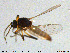 ( - MM-Cer113)  @11 [ ] Creative Commons  Attribution Non-Commercial Share-Alike (2020) NTNU University Museum, Department of Natural History NTNU University Museum, Department of Natural History