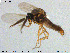  ( - MM-Cer118)  @11 [ ] Creative Commons  Attribution Non-Commercial Share-Alike (2020) NTNU University Museum, Department of Natural History NTNU University Museum, Department of Natural History