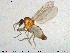  ( - MM-Cer121)  @11 [ ] Creative Commons  Attribution Non-Commercial Share-Alike (2020) NTNU University Museum, Department of Natural History NTNU University Museum, Department of Natural History