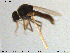  ( - MM-Cer124)  @11 [ ] Creative Commons  Attribution Non-Commercial Share-Alike (2020) NTNU University Museum, Department of Natural History NTNU University Museum, Department of Natural History