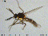  ( - MM-Cer144)  @11 [ ] Creative Commons  Attribution Non-Commercial Share-Alike (2020) NTNU University Museum, Department of Natural History NTNU University Museum, Department of Natural History