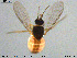  ( - MM-Cer148)  @11 [ ] Creative Commons  Attribution Non-Commercial Share-Alike (2020) NTNU University Museum, Department of Natural History NTNU University Museum, Department of Natural History