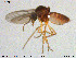  ( - MM-Cer150)  @11 [ ] Creative Commons  Attribution Non-Commercial Share-Alike (2020) NTNU University Museum, Department of Natural History NTNU University Museum, Department of Natural History
