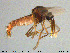  ( - MM-Cer156)  @11 [ ] Creative Commons  Attribution Non-Commercial Share-Alike (2020) NTNU University Museum, Department of Natural History NTNU University Museum, Department of Natural History