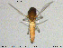  ( - MM-Cer164)  @11 [ ] Creative Commons  Attribution Non-Commercial Share-Alike (2020) NTNU University Museum, Department of Natural History NTNU University Museum, Department of Natural History