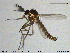  ( - MM-Cer195)  @11 [ ] Creative Commons  Attribution Non-Commercial Share-Alike (2020) NTNU University Museum, Department of Natural History NTNU University Museum, Department of Natural History
