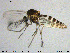  ( - MM-Cer200)  @11 [ ] Creative Commons  Attribution Non-Commercial Share-Alike (2020) NTNU University Museum, Department of Natural History NTNU University Museum, Department of Natural History
