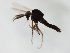  ( - MM-Cer244)  @11 [ ] by-nc-sa (2020) Unspecified Tromsø University Museum