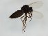  ( - MM-Cer245)  @11 [ ] by-nc-sa (2020) Unspecified Tromsø University Museum