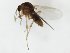  ( - MM-Cer251)  @11 [ ] by-nc-sa (2020) Unspecified Tromsø University Museum