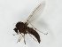  ( - MM-Cer257)  @11 [ ] by-nc-sa (2020) Unspecified Tromsø University Museum