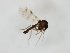  ( - MM-Cer260)  @11 [ ] by-nc-sa (2020) Unspecified Tromsø University Museum