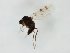  ( - MM-Cer275)  @11 [ ] by-nc-sa (2020) Unspecified Tromsø University Museum