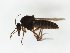  ( - MM-Cer282)  @11 [ ] by-nc-sa (2020) Unspecified Tromsø University Museum