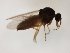  ( - MM-Cer285)  @11 [ ] by-nc-sa (2020) Unspecified Tromsø University Museum
