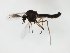 ( - MM-Cer299)  @11 [ ] by-nc-sa (2020) Unspecified Tromsø University Museum
