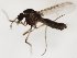 ( - MM-Cer300)  @11 [ ] by-nc-sa (2020) Unspecified Tromsø University Museum