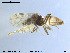  ( - MM-Cer06)  @11 [ ] CreativeCommons - Attribution Non-Commercial Share-Alike (2019) Unspecified NTNU University Museum
