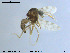  ( - MM-Cer07)  @11 [ ] CreativeCommons - Attribution Non-Commercial Share-Alike (2019) Unspecified NTNU University Museum