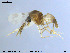  ( - MM-Cer08)  @11 [ ] CreativeCommons - Attribution Non-Commercial Share-Alike (2019) Unspecified NTNU University Museum
