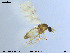  ( - MM-Cer09)  @11 [ ] CreativeCommons - Attribution Non-Commercial Share-Alike (2019) Unspecified NTNU University Museum
