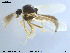  ( - MM-Cer13)  @11 [ ] CreativeCommons - Attribution Non-Commercial Share-Alike (2019) Unspecified NTNU University Museum